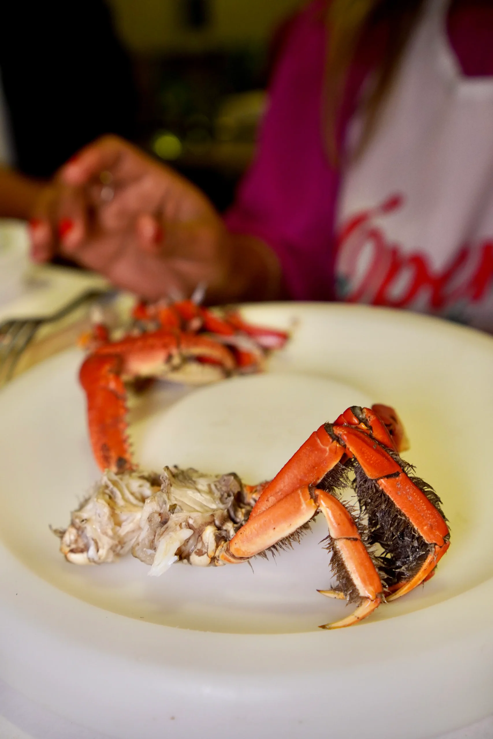 temporada de caranguejo em curitiba